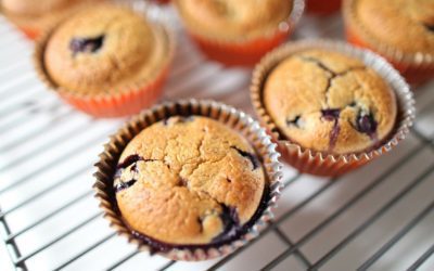 Blueberry Muffins for a Healthy Gut