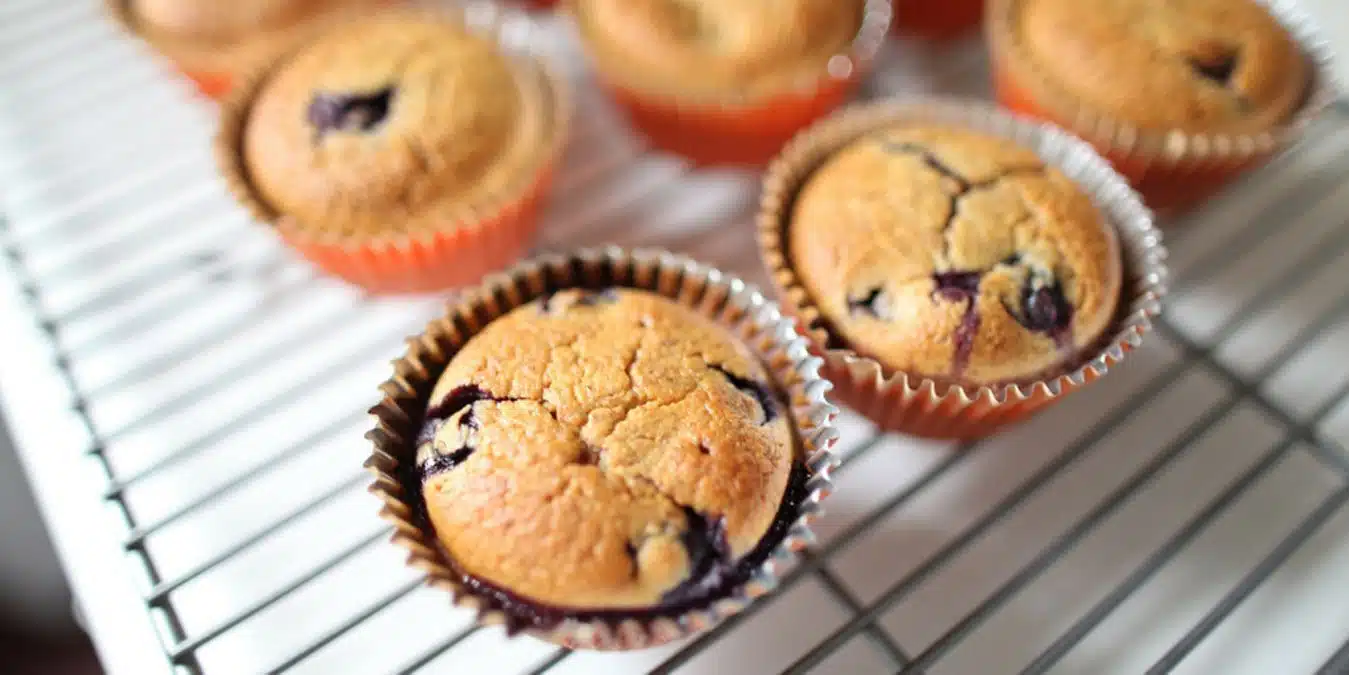 Nut-Free, Grain-Free Coconut And Tapioca Flour Blueberry Muffins