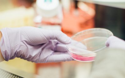 Atlas Biomed Microbiome Test Reviews