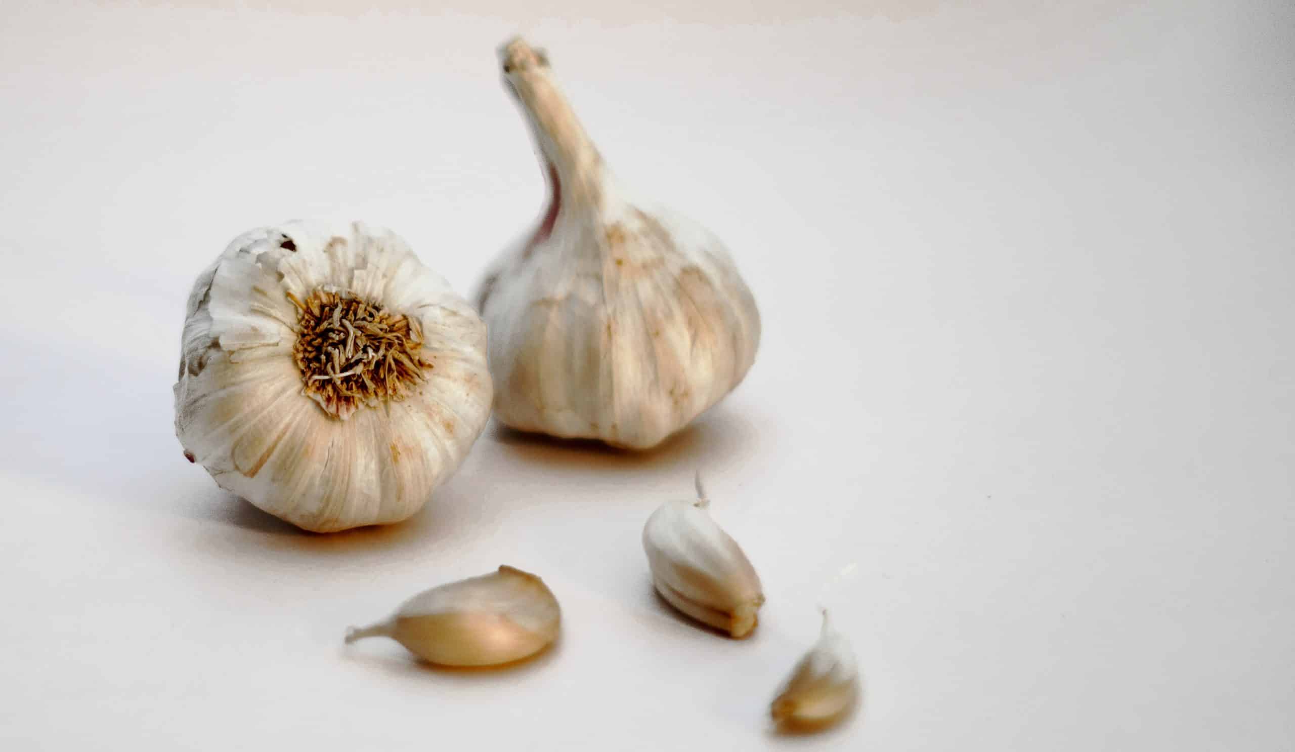 garlic for gut health