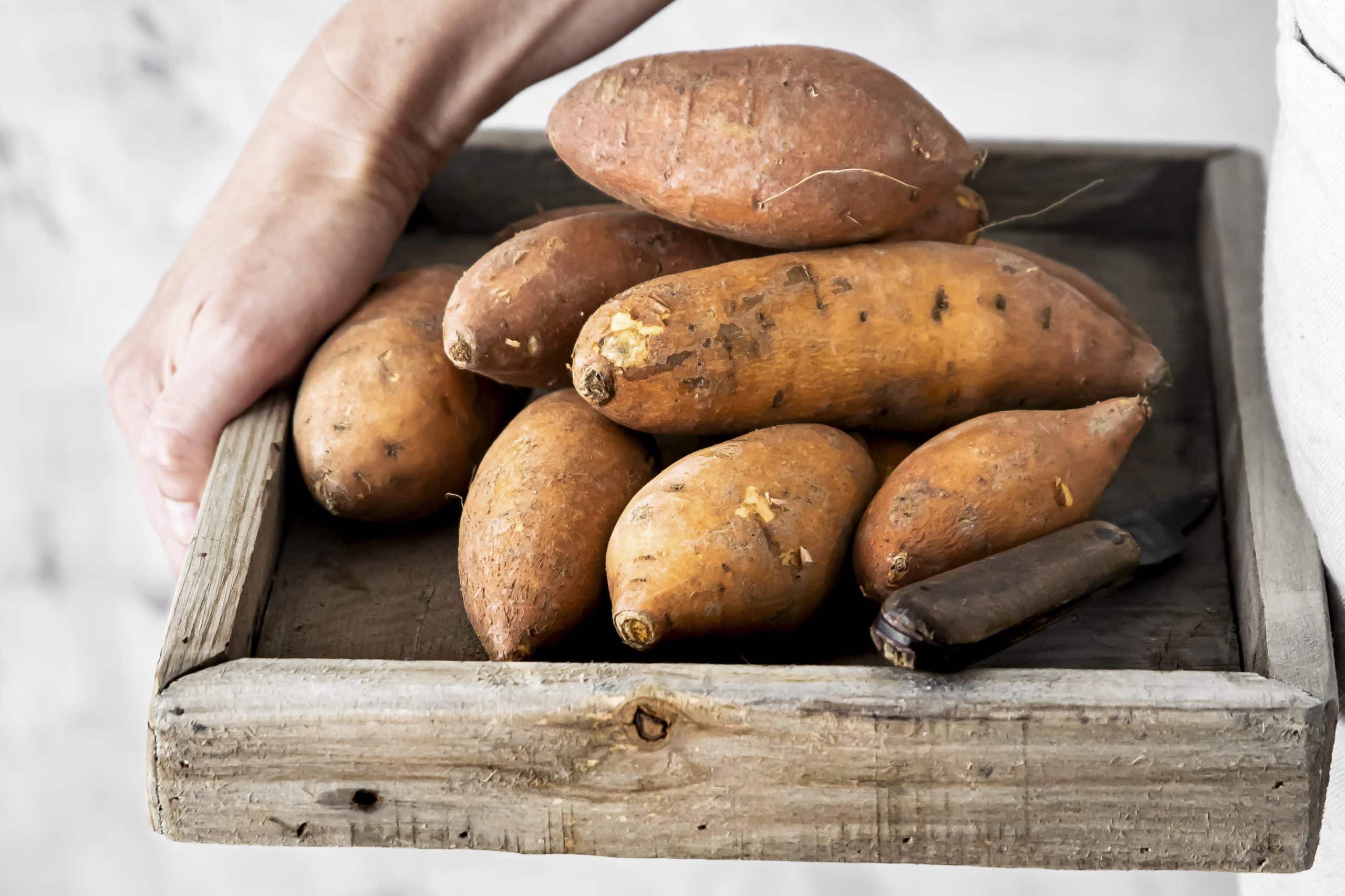 sweet potato low fodmap