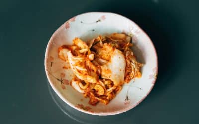 Unlock the Secrets of DIY Fermented Foods Part I: Background and Techniques