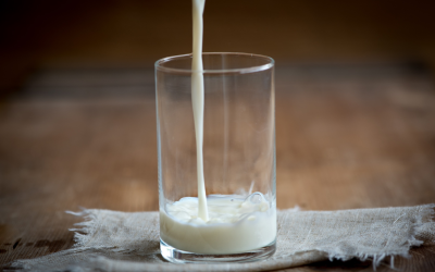 The Benefits of Raw Milk for Gut Health