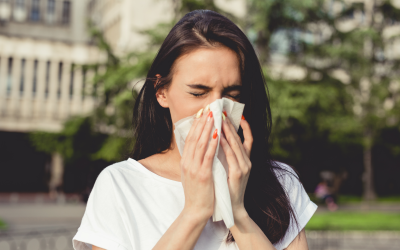 The Surprising Connection Between Gut Microbiome and Seasonal Allergies: Exploring The Link