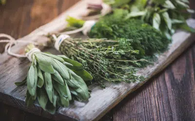 Boost Your Gut Health with These Powerful Herbs