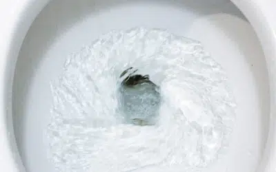 Understanding Bowel Movement Frequency for Better Gut Health