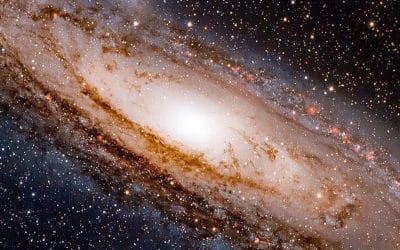 Understanding Your Gut Microbiome: The Hidden Universe Within