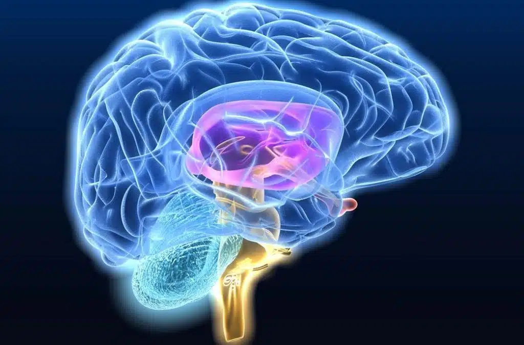 Exploring the Connection Between Neurodegenerative Disease and Gut Microbiome: Insights and Implications