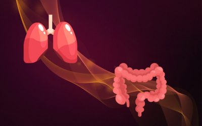 Exploring the Gut-Lung Axis: Unveiling the Connection Between Digestive Health and Respiratory Function