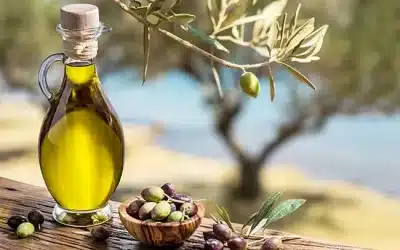 The Surprising Benefits of Olives and Olive Oil Introduction to Gut Health and Its Importance