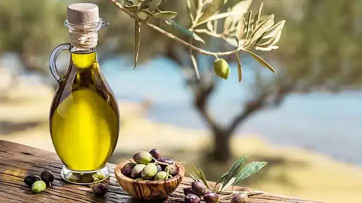 The Surprising Benefits of Olives and Olive Oil Introduction to Gut Health and Its Importance