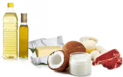 Unraveling the Effects of Saturated Fat on Gut Health