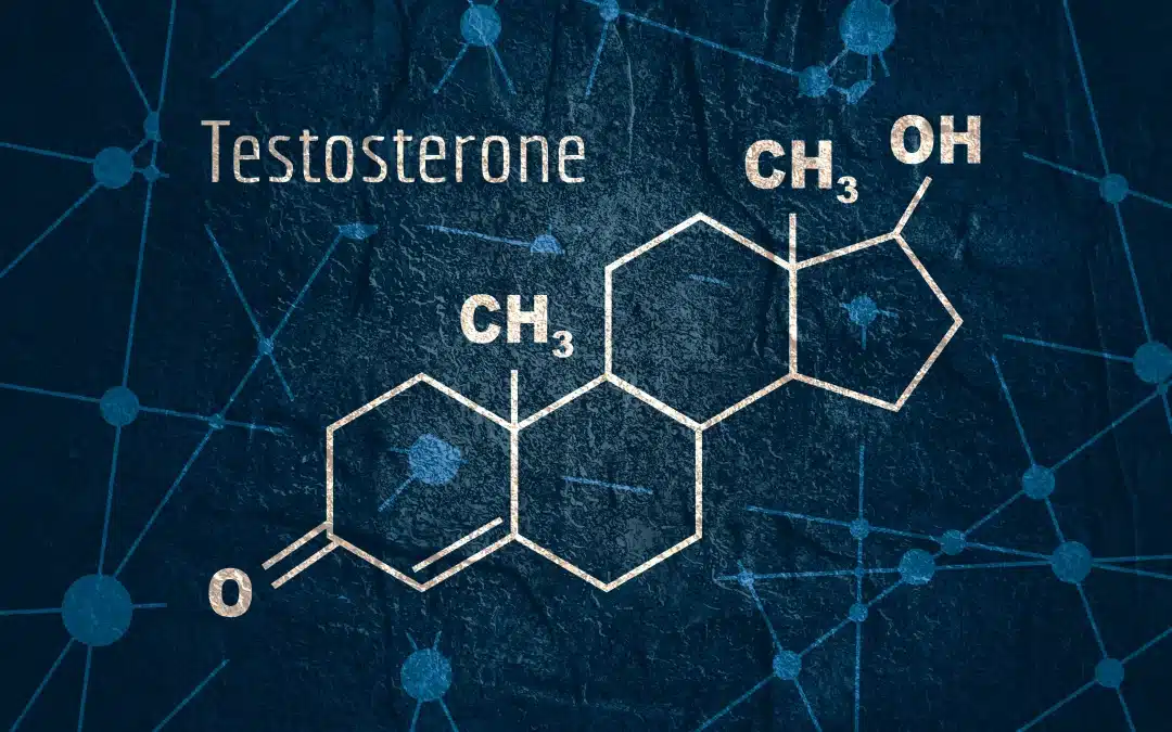 The Hidden Link: How Testosterone Shapes Your Gut Microbiome Health