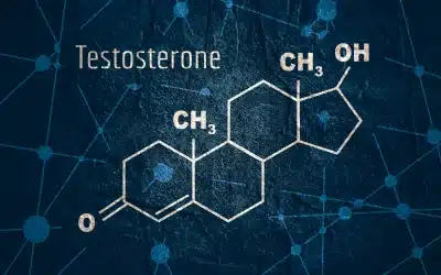 The Hidden Link: How Testosterone Shapes Your Gut Microbiome Health